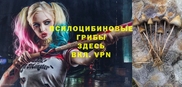 бутират Алексеевка