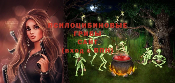 МДПВ Алексин