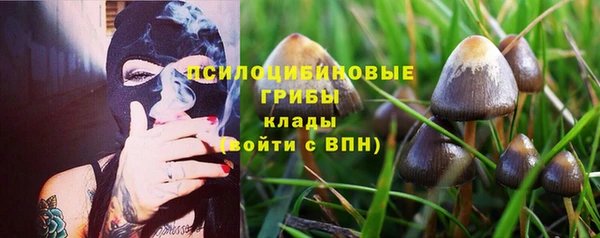 бутират Алексеевка